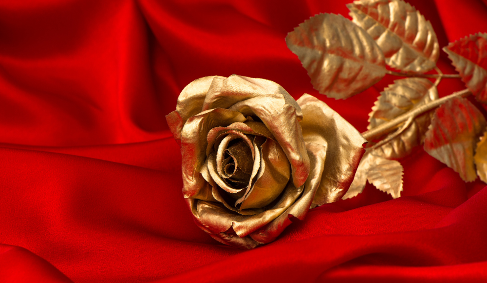 A Golden Rose
